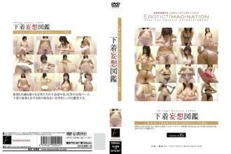 DFTR-007