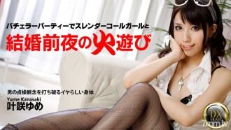 HEYZO-0334