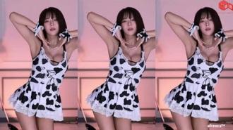 KBJ-24042228