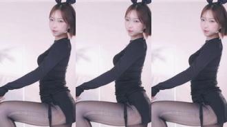 KBJ-24112305